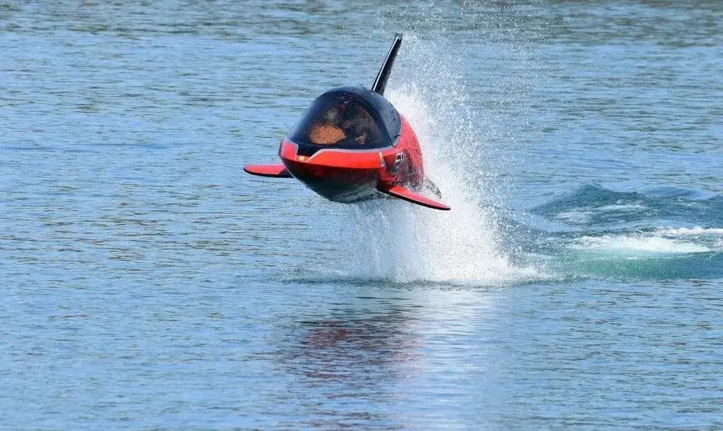 Seabreacher Rentals 4